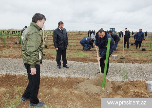 Президент Азербайджана ознакомился с работами по озеленению и посадил дерево [Фото]