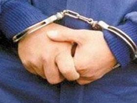 Гражданин Азербайджана задержан в Санкт - Петербурге по подозрению в изнасиловании школьников