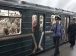 На долю метро падает 17,5% пассажироперевозок в Азербайджане