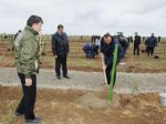 <b>Президент Азербайджана ознакомился с работами по озеленению и посадил дерево [Фото]</b>